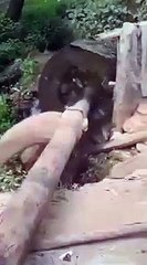 Old innovation, what an Idea #shorts #viral #shortsvideo #video #innovationhub