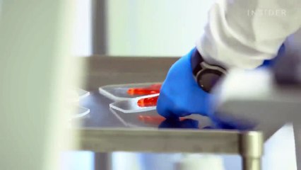 Approbation pour la vente de viande de poulet produite en laboratoire en provenance des États-Unis