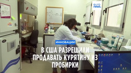 В США разрешили продавать курятину из пробирки