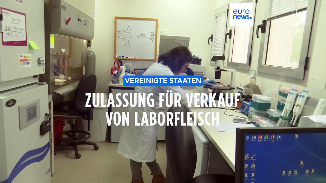 Wie Bierbrauen: USA genehmigt Verkauf von Laborfleisch