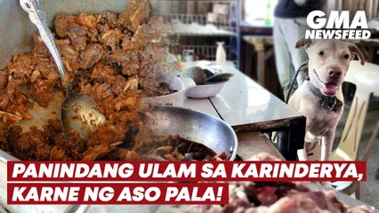 Panindang ulam sa karinderya, nabistong karne ng aso | GMA News Feed