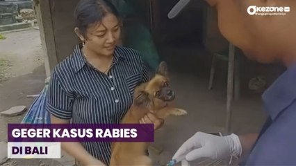 OKEFLASH: Geger Kasus Rabies di Bali Terus Bertambah