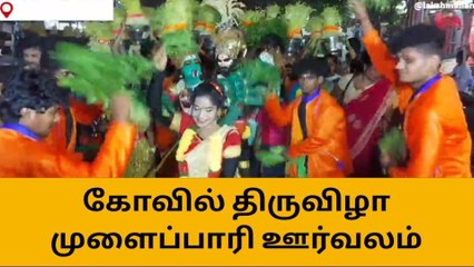புதுக்கோட்டை : அம்மன் கோவில் திருவிழா முளைப்பாரி ஊர்வலம் !