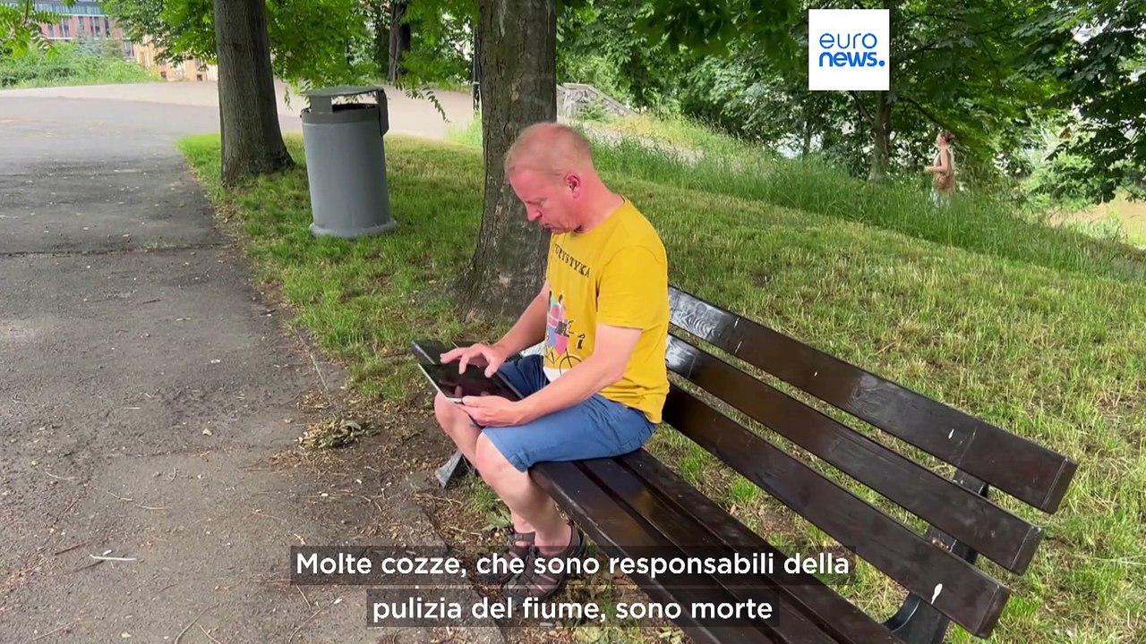 Polonia, il fiume Oder è ormai vicino ad un disastro ecologico: cosa fare per evitarlo?