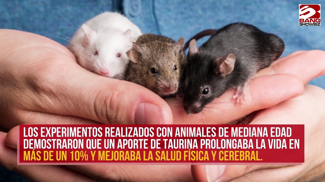 Un nutriente de la carne y el pescado podría ser el 'elixir de la vida'