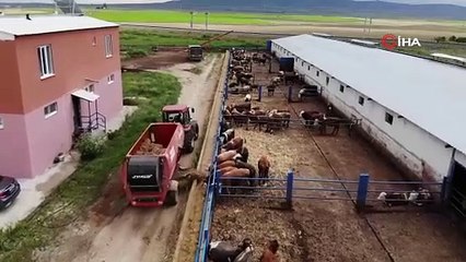 Kurbanlık seçimi ve kesiminde önemli hususlar