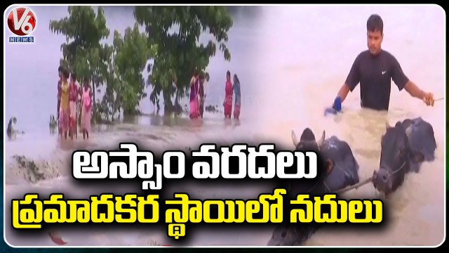 Assam floods 2023 _ Brahmaputra River Flows In Danger Level _ V6 News