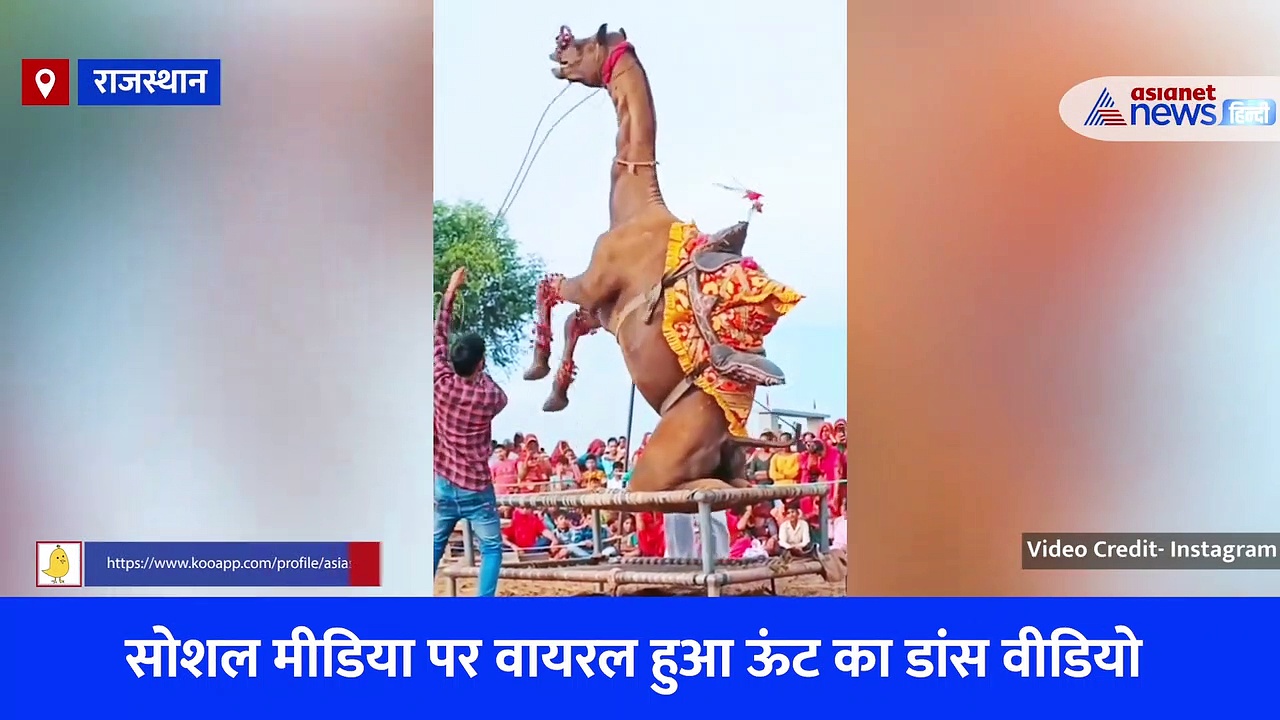 Camel Dance Video Viral: ऊंट ने 2 पैरों को पर खड़े होकर किया डांस, देखने वाले रह गए हैरान