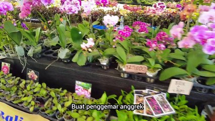 Pesta Kesenian Bali