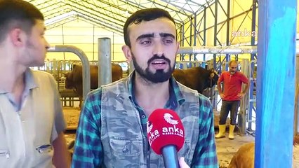 İbb İsyön A.Ş Hal İşletme Müdürü Muharrem Aksoy: "Kurban Satışlarında Bu Yıl, Geçen Yıla Göre Azalma Söz Konusu"