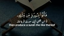 Surah Al Baqrah _ Ayah 23-24 _ quran with urdu translation _ Quran recitation _
