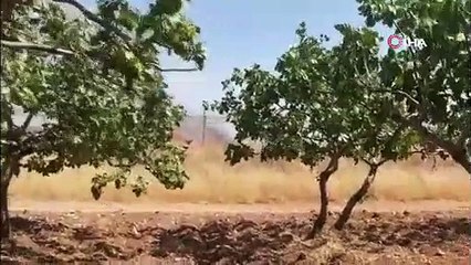 Mayınlı alanda korkutan yangın