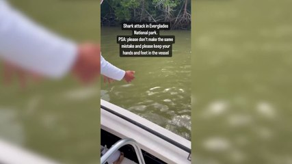 Impressionante! Pescador é mordido por tubarão e arrastado para a água