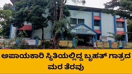 ಕಾರವಾರ: ಅಪಾಯಕಾರಿ ಸ್ಥಿತಿಯಲ್ಲಿದ್ದ ಬೃಹತ್ ಗಾತ್ರದ ಮರ ತೆರವು