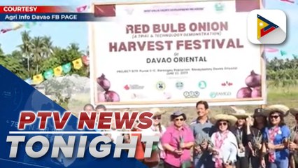 Banaybanay LGU holds first-ever Red Bulb Onion Harvest Festival in Davao Oriental