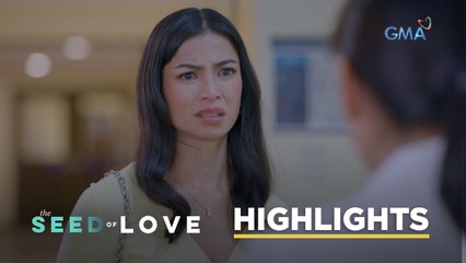 The Seed of Love: Malaya's DNA test result is out! (Episode 34)