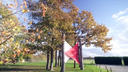 Film Corporate - La Thionniere