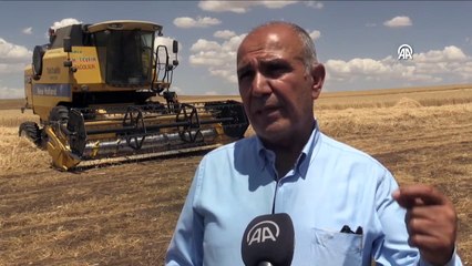 Diyarbakır'da 9 kişinin ölümüne neden olan tarlada hasat, barış heyeti gözetiminde başladı