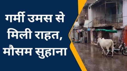 किशनगंज : बारिश का दौर जारी, ग्रामीणों को मिली गर्मी से राहत,?