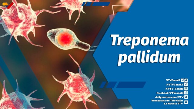 Actitud Saludable | ¿Cómo detectar la sífilis y de qué forma curarla?