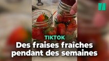 Comment conserver les fraises ? Cette technique de conservation a convaincu ces utilisateurs de TikTokervation promet de garder vos fraises fraîches plus longtemps