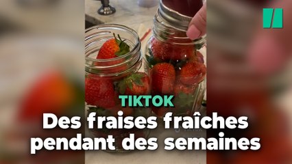 Comment conserver les fraises ? Cette technique de conservation a convaincu ces utilisateurs de TikTokervation promet de garder vos fraises fraîches plus longtemps