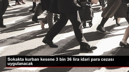Sokakta kurban kesimine 3 bin 36 lira para cezası uygulanacak