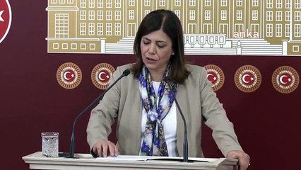Meral Danış Beştaş： L'augmentation du taux directeur est un aveu que le modèle économique turc s'est effondré