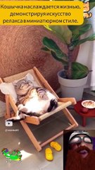 Кошечка и релакс_ Маленький мастер класс!