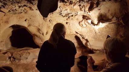 Finger Flutings Found in ‘Oldest Decorated Cave in France, if Not Europe’