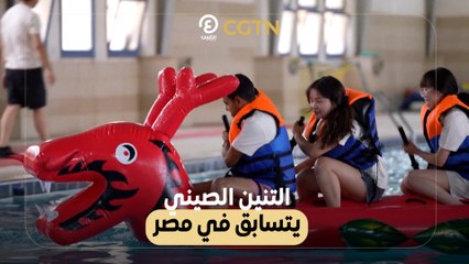 التنين الصيني يتسابق في مصر