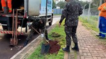 Sema e soldados do Exército Brasileiro realizam plantio de Ipês no bairro Neva