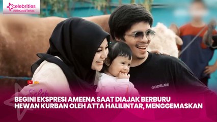 Begini Ekspresi Ameena saat Diajak Berburu Hewan Kurban oleh Atta Halilintar, Menggemaskan