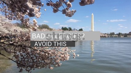What Makes Allergies Worse?