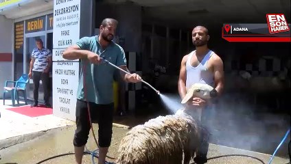 Adana'da kurbanlık hayvanları oto yıkama dükkanında yıkadılar
