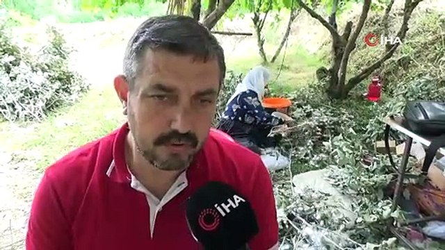 Büyük ekonomik kazanç sağlıyor: 45 günde 60 bin TL!