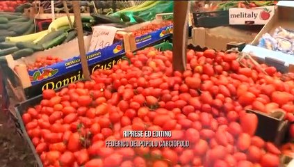 Di Che Pasta Sei – Puntata 3 del 21 giugno 2023