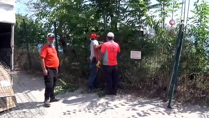 Treillis métallique doublé pour la personne qui a jeté des parasols à la mer à Antalya