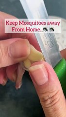 Remedio casero para matar mosquitos