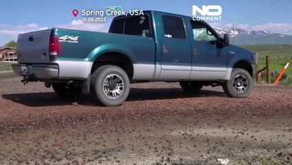 هجوم جیرجیرک‌ها به مناطق شمالی ایالت نوادای آمریکا