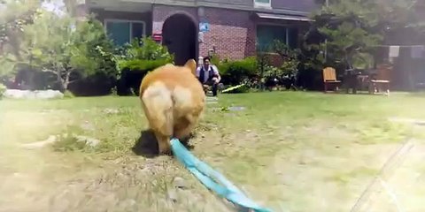 L0ve Tract0r EP4 Eng Sub