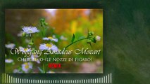 Wolfgang Amadeus Mozart-Cherubino-(Le Nozze di Figaro)-REMIX