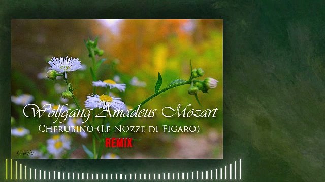 Wolfgang Amadeus Mozart-Cherubino-(Le Nozze di Figaro)-REMIX