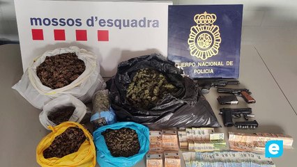 Es desmantellen dues plantacions de marihuana a Castelló d’Empúries i Sant Pere Pescador