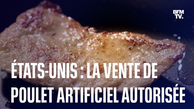 Les États-Unis autorisent la vente de viande de poulet cultivée en laboratoire