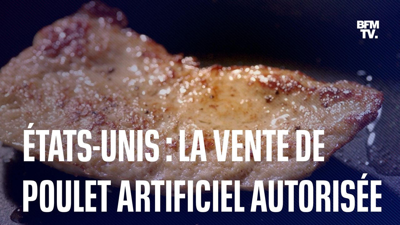 Les États-Unis autorisent la vente de viande de poulet cultivée en laboratoire