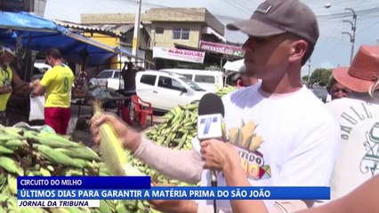 Últimos dias para garantir o milho do São João