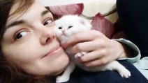 21 Days After Birth _ Cuteness Overload  _ little kitten Kisses me