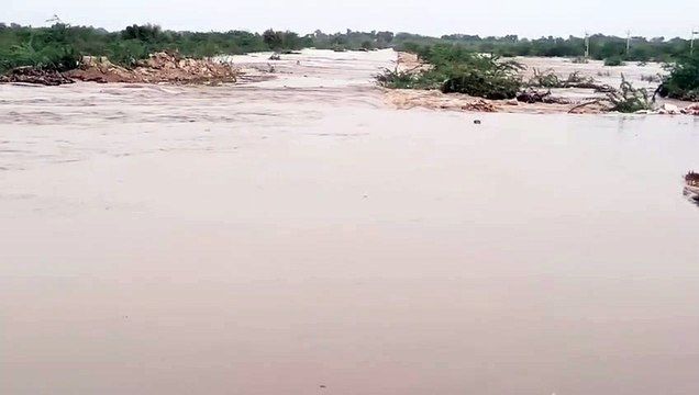 Luni River: Barmer News: टापू बन गए थार के गांव, लोग घरों में कैद
