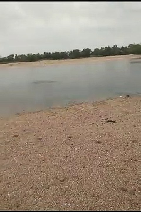Luni River: Barmer News: टापू बन गए थार के गांव, लोग घरों में कैद